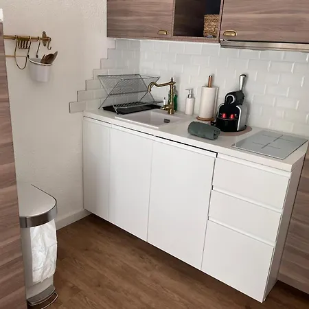 Apartment Parenthese A Ax, Ski, Randos & Vue Pyrenees Ax-les-Thermes