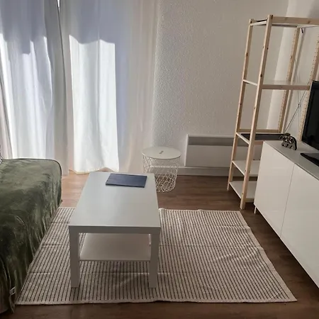 Vue Sur Les Pyrenees 4pers Aux Pieds Des Pistes Apartment Ax-les-Thermes